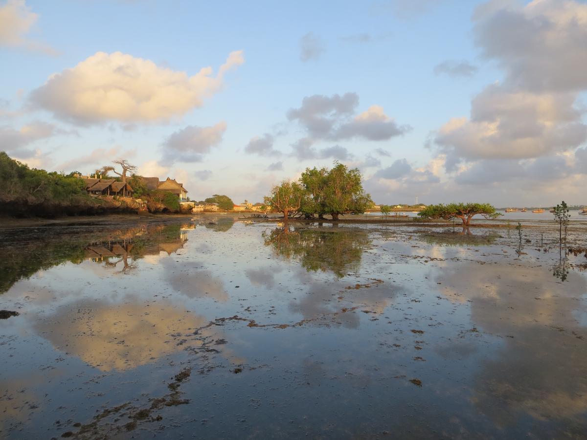 Wasini Island Bandas Εξωτερικό φωτογραφία