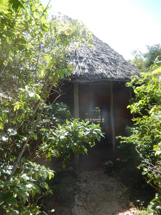 Wasini Island Bandas Εξωτερικό φωτογραφία