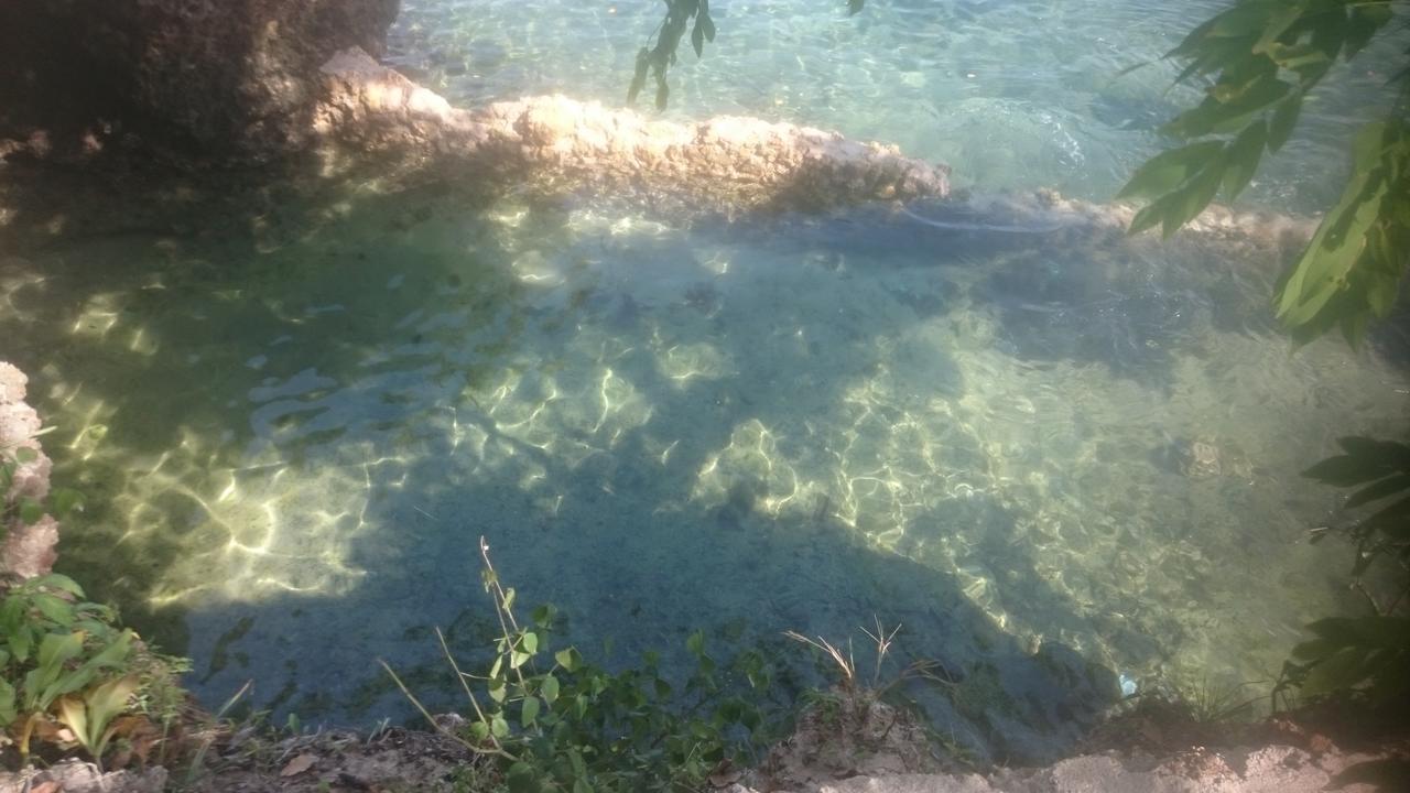 Wasini Island Bandas Εξωτερικό φωτογραφία